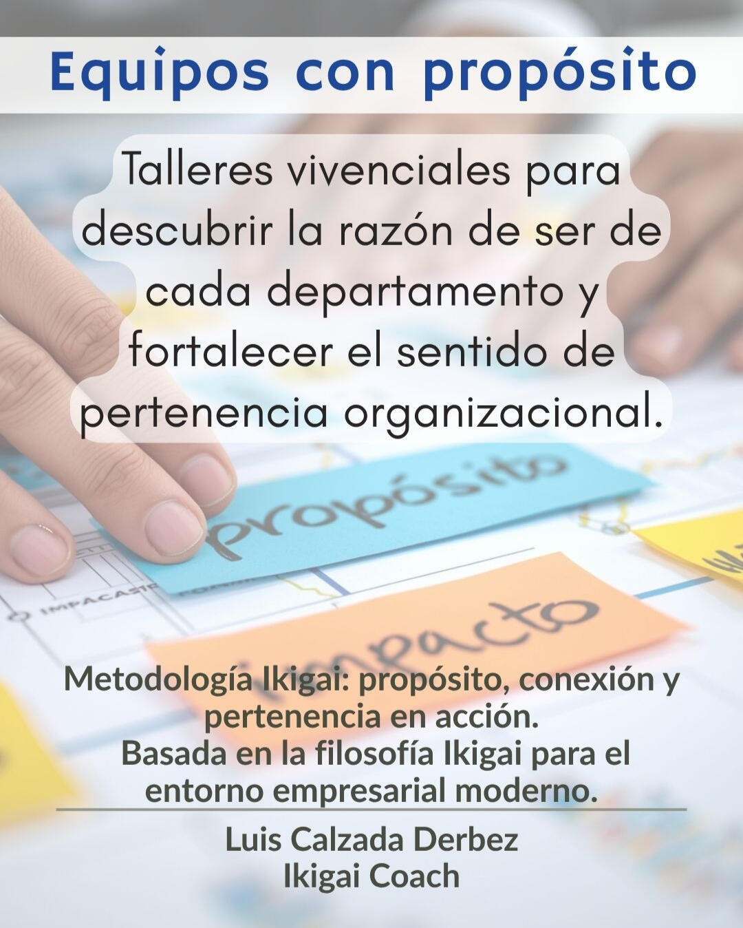 Talleres vivenciales
